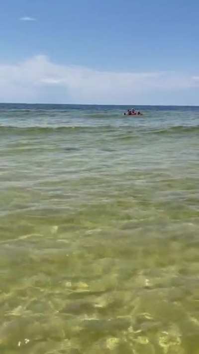 🔥 Devil Rays I saw at the Beach in Florida 🔥