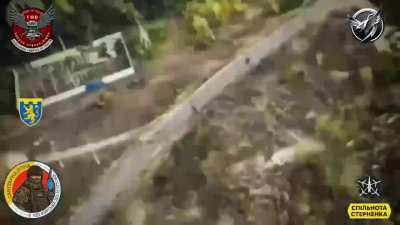 FPV pilots of 
