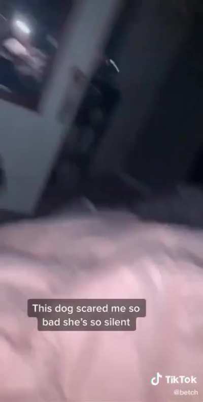 Sneaky dog scares girl