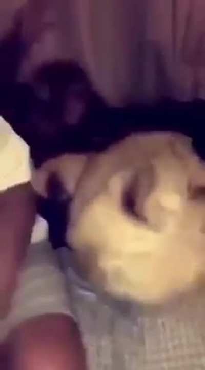Add interesting title