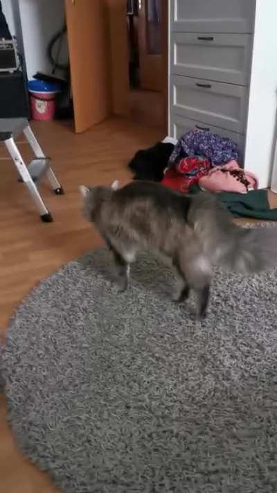OK.