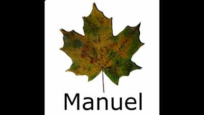 Manuel