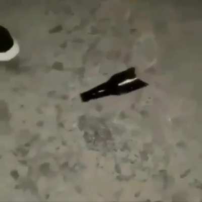 moldy_bottle_spin