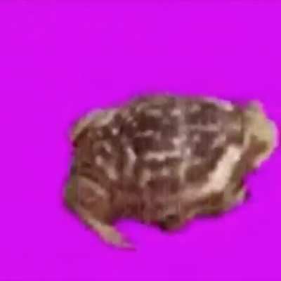 kurba