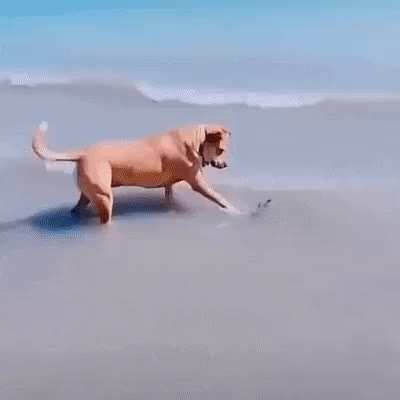 "What the heck is this...oh shiii"