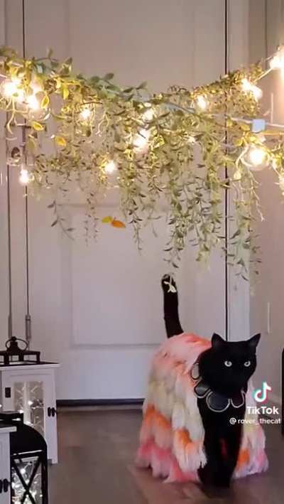 Catwalk.
