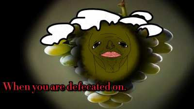 Have a grape day