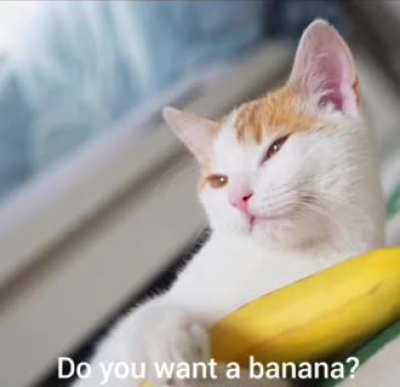 Ban(rule)ana