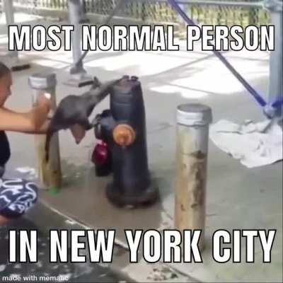 new york city
