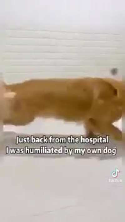 An interesting title
