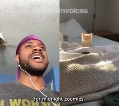 Cat voice over