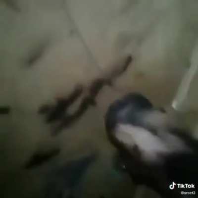 cursed_room