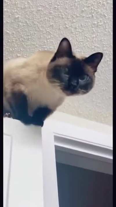 AAAAAAAAAAAAAAAAAAAAAAAAAAAAAAAAAAAAAAAAAAAAAAAAAAAAAAAAAAAAAAAAAAAAAAAAAAAAAAAAAAAAAAAAAAAAAAAAAAAAAAAAAAAAAAAAAAAAAAAAAAAAAAAAAAAAAAAAAAAAAAAAAAAAAAAAAAAAAAAAAAAAAAAAAAAAAAAAAAAAAAAAAAAAAAAAAAAAA