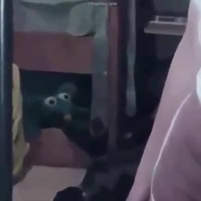 Something else my friend sent me, but I do not agree