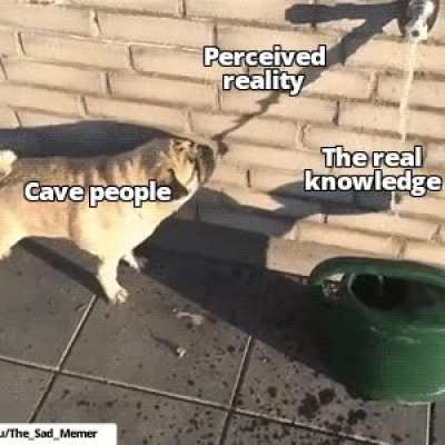 This meme will die