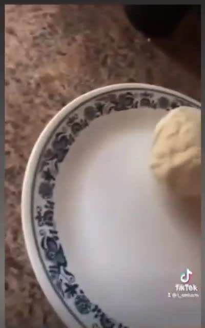 The forbidden biscuit