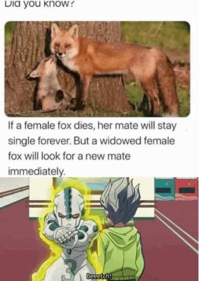 Beeeeetch!