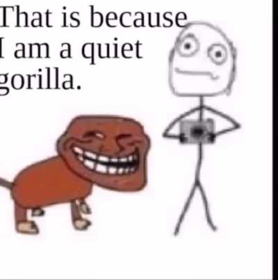 Funni monke 🦧