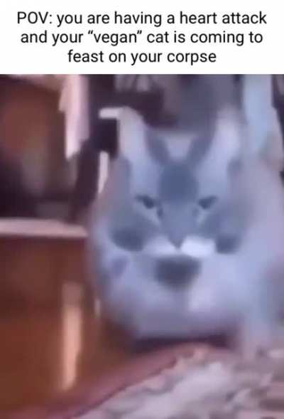 Hmmmm...