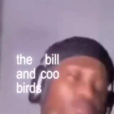 /.\