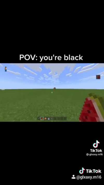 "Guys I swear I'm not racist"