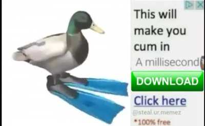 It will 100%