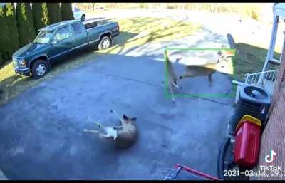Parkour