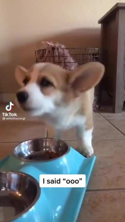 ooo
