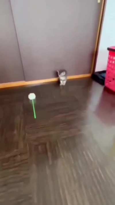 Ele quebrou