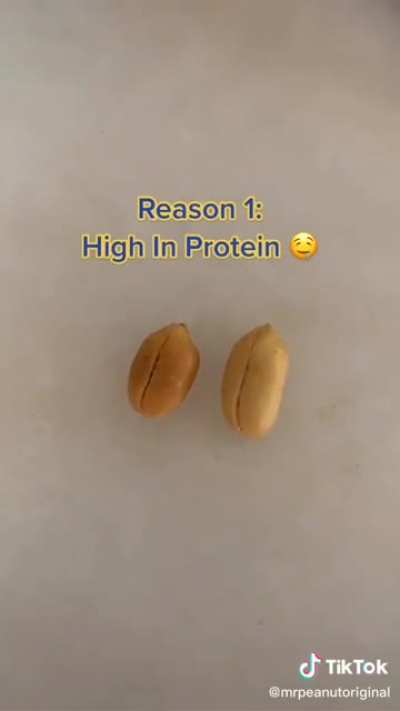 they absolutely love these nuts