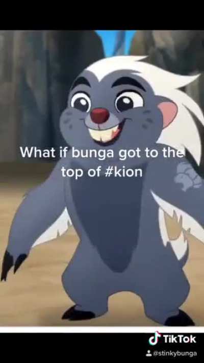 What the hell is this Stinkybunga