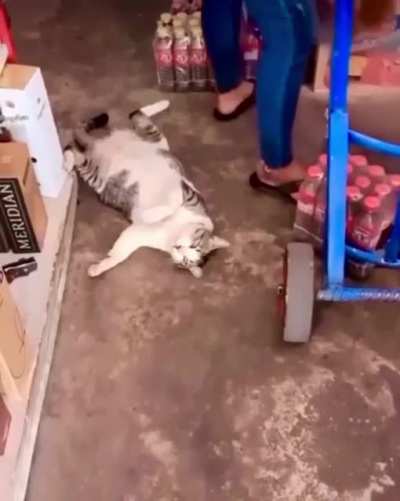 I&rsquo;m going to need you to cover my shift&hellip;