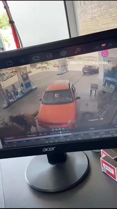 Not the horse D: