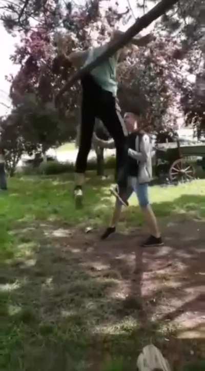 A cazut cioroiu