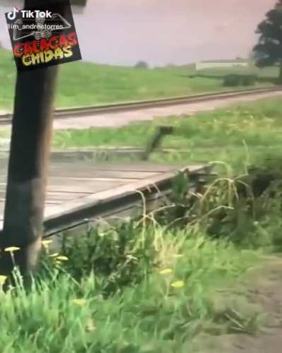 Si o no