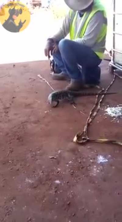 Vc d&aacute; o arroz ele quer a alma