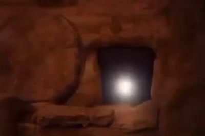 HAPPY EASTER TROGLODYTES
