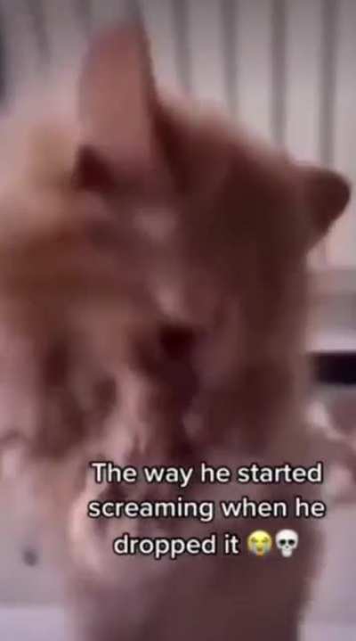 NOOOOOOO