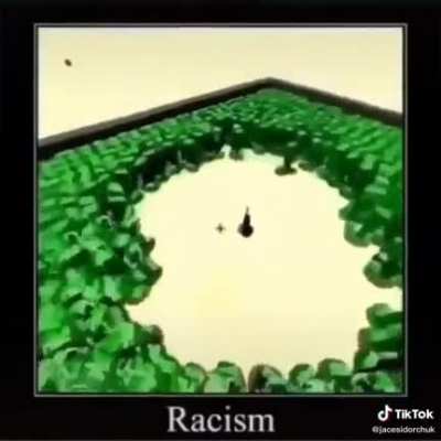 racism