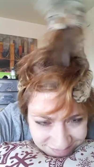 I groom my hooman because she needs it after that bad haircut.