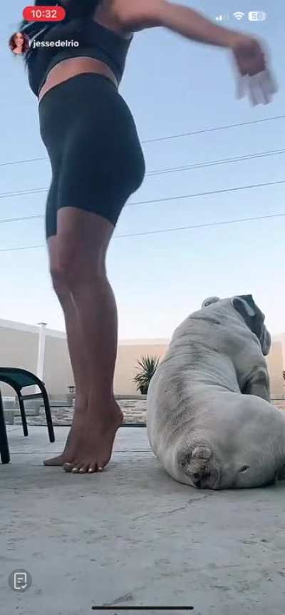 Perfect feet pt 2