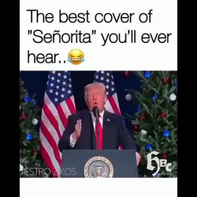 Best Cover "Senorita" you'll ever hear..😂