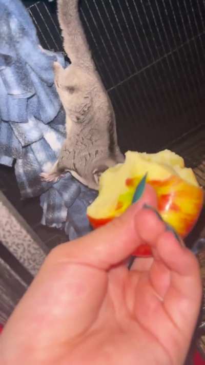 Apple time