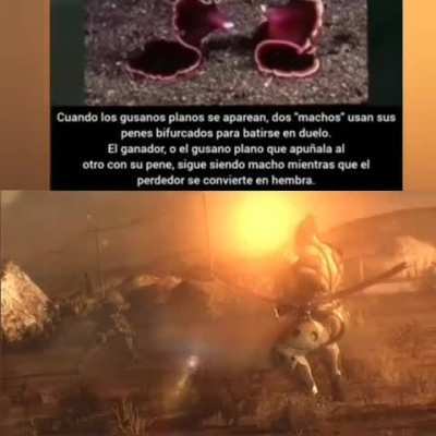 Mientras tanto Salva y hoxy en alguna parte de Espa&ntilde;a
