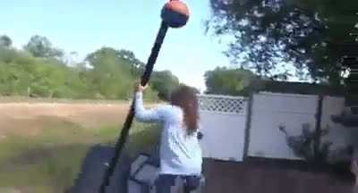 Ballbasket
