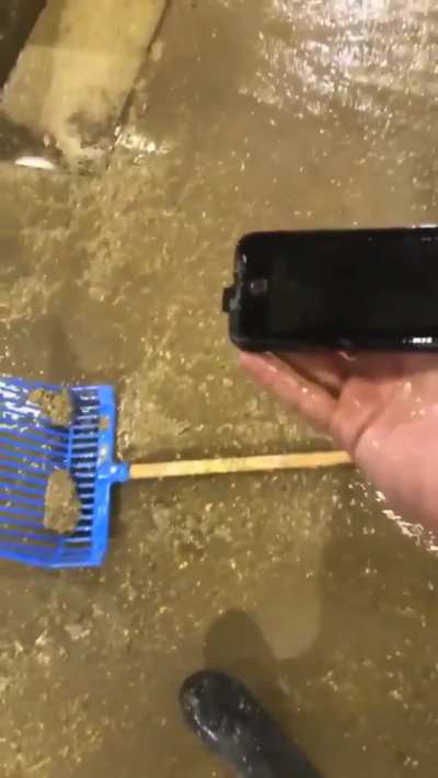 He don't deserve this phone...