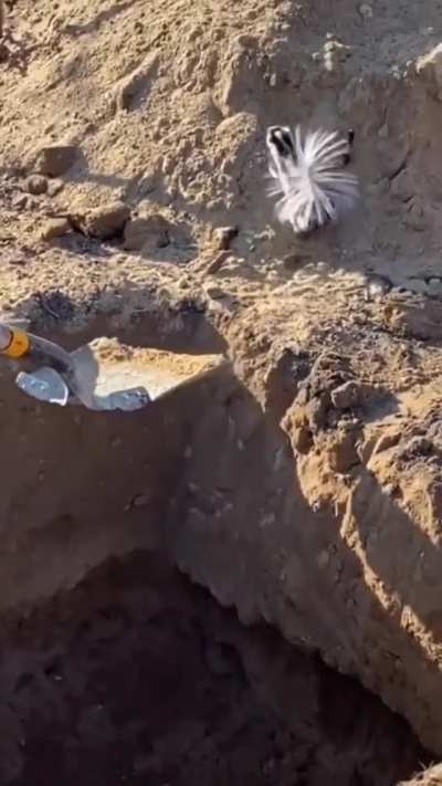 Successful shovel rescue