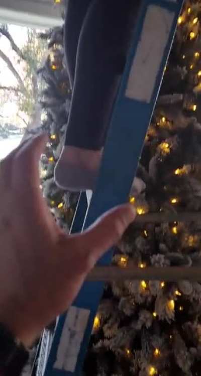 And this is why we don&rsquo;t put up trees before thanksgiving, kids....