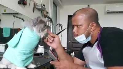 Barbershop patron