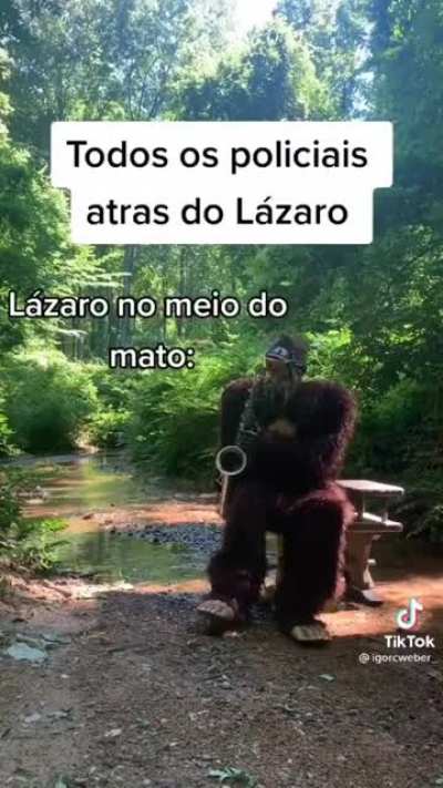 Pe&ccedil;o mil e um perd&otilde;es por postar um tik tok aqui